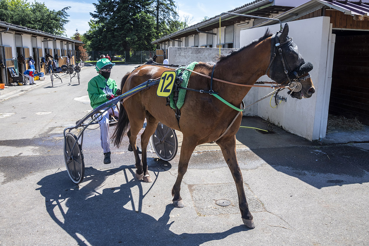 Grand prix de la ville de Bron | Ville de Bron